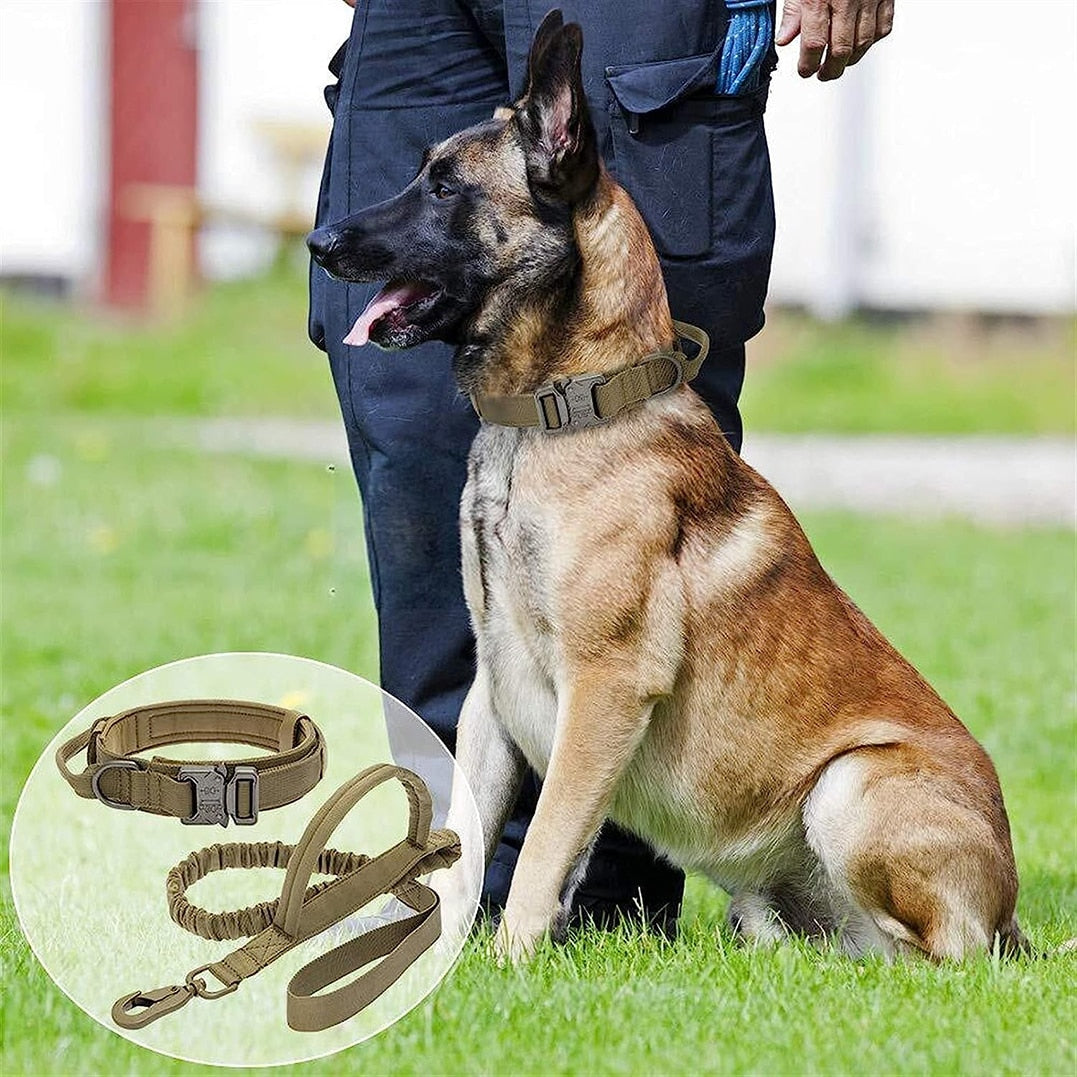 Tactical Dog Collar and Leash Set