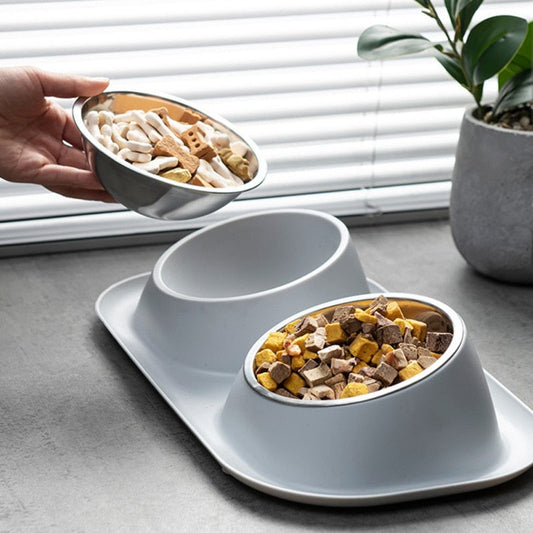 Double Bowl Stainless steel Pet Food Container with a Non-slip Base