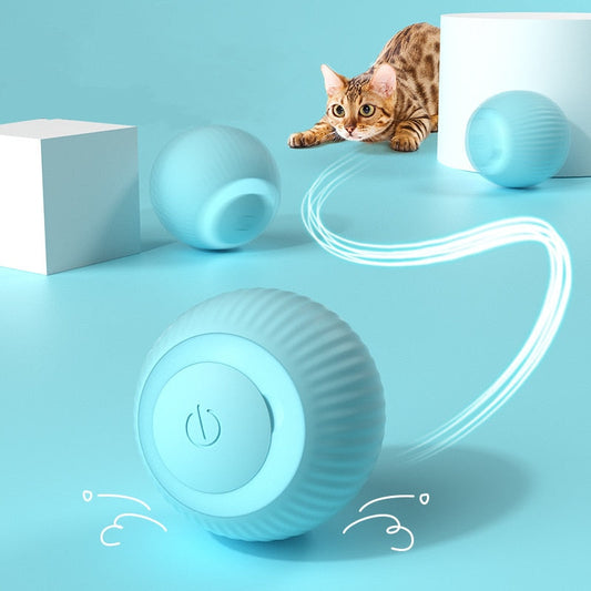 Electric Smart Balls for Dogs