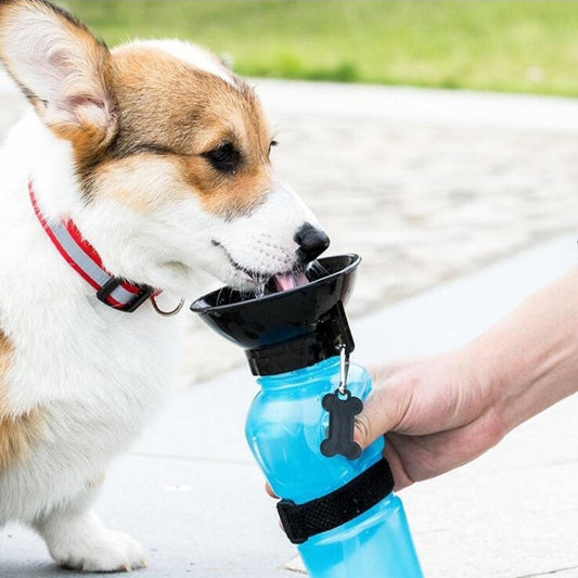Extrusion Dog Travel Water Bottle