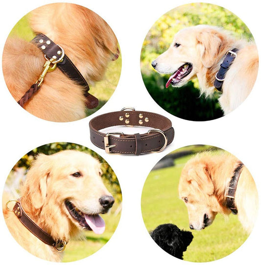 Leather Dog Collars