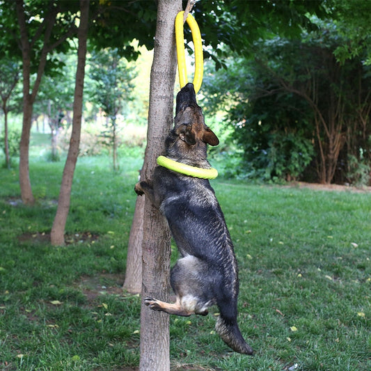 Pet Ball Launchers for Training Ring Puller Resistant Bite Floating Toy