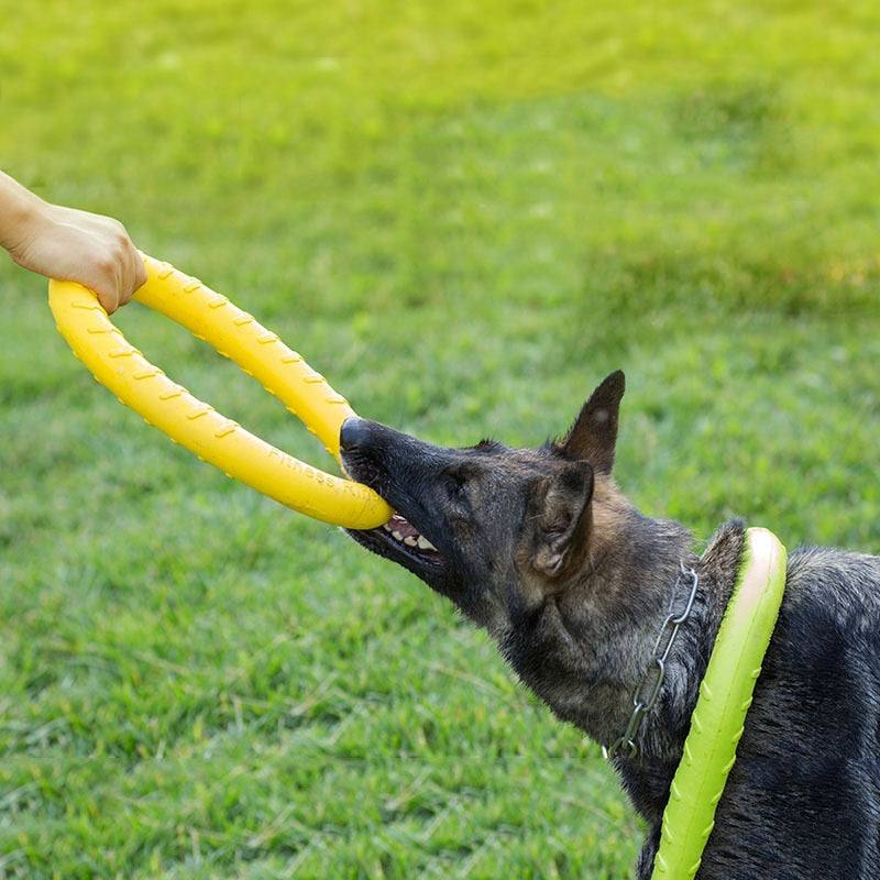 Pet Ball Launchers for Training Ring Puller Resistant Bite Floating Toy