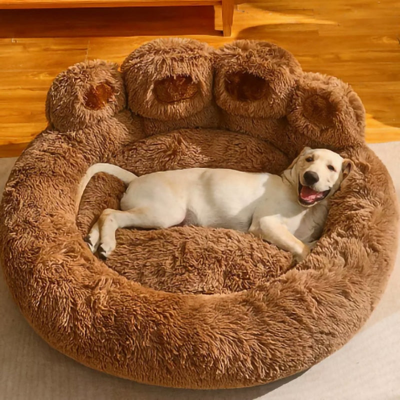 Pet Sofa Beds for Puppy Pawn
