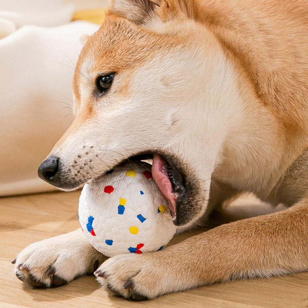 Bite Resistant Balls for Pet