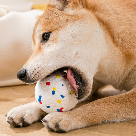 Bite Resistant Balls for Pet
