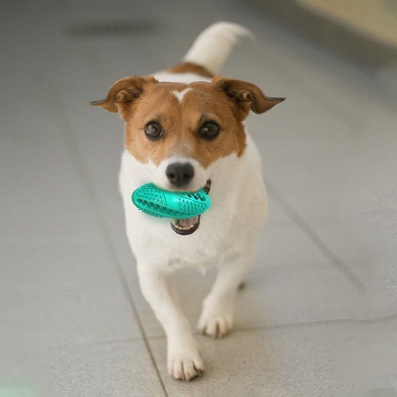 Rubber Dog Treat Ball Puppy Chew Toy Food Dispensers