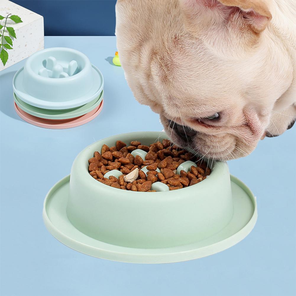 Safe Non-Slip Slow Feeder Pet Bowls